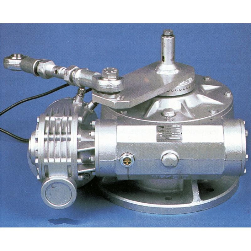 FROG-MS Moteur Gauche Enterré Portail Battant CAME 230V 3 FROG-MS Moteur Gauche Enterré Portail Battant CAME 230V